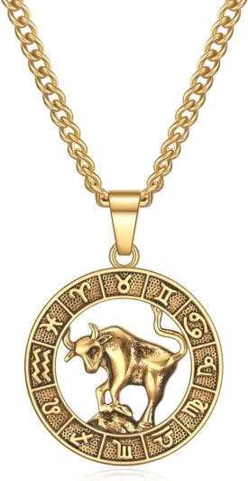 Rnivida Zodiac Sign Necklaces,Constellation Necklace Pendant for Women and Men Personalized Astrology Jewelry